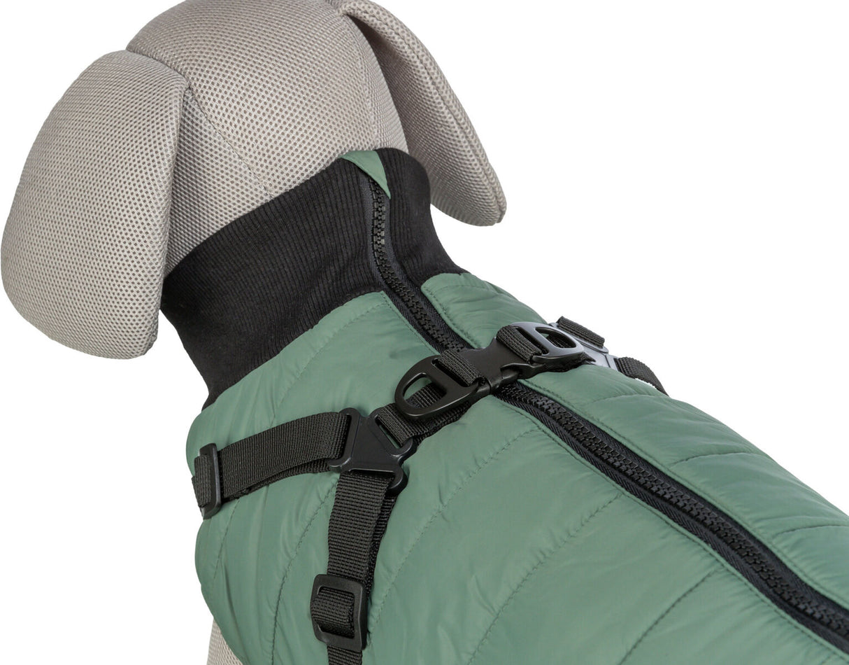 Hundefigur in einem grünen Mantel mit schwarzem Reißverschluss und Gurtsystem, zeigt Rückansicht des Designs.