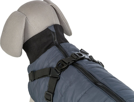 Graues Hundemodell trägt dunkelblauen Hundemantel mit schwarzem Reißverschluss und verstellbaren Gurten.