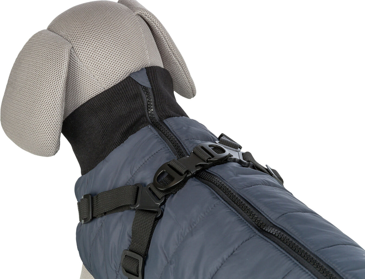 Graues Hundemodell trägt dunkelblauen Hundemantel mit schwarzem Reißverschluss und verstellbaren Gurten.