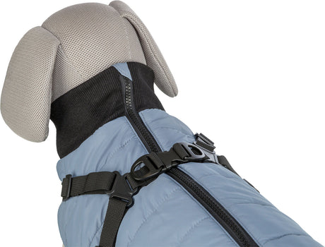 Eine Hundepuppe trägt einen blauen Mantel mit schwarzem Reißverschluss und verstellbaren Gurten.