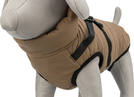 PHO_PRO_DET_CLIP_680380-680386-2