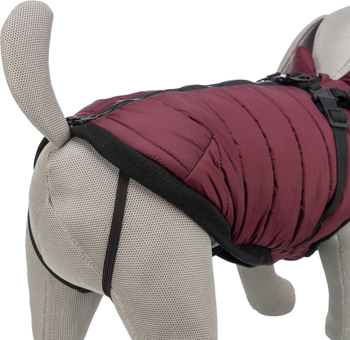 Graues Hundemodell trägt rotbraunen Hundemantel mit schwarzem Saum und Reißverschluss.