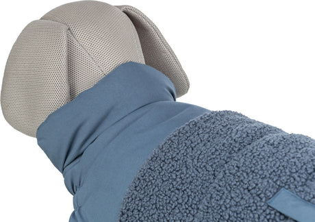 Ein graues Hundemodell trägt eine blaue Jacke mit weichem, strukturiertem Fleece und hochgestellten Ohren.