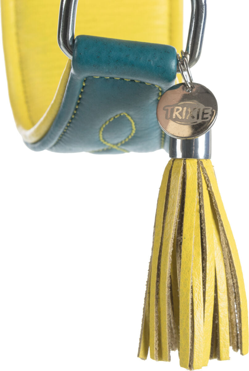 Blaues und gelbes Lederhalsband mit Metallanhänger "TRIXIE" und gelbem Lederanhänger.