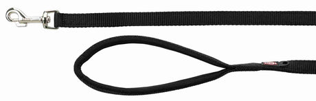 Schwarze Nylon-Hundeleine mit metallischem Karabinerhaken und gepolsterter Handschlaufe.