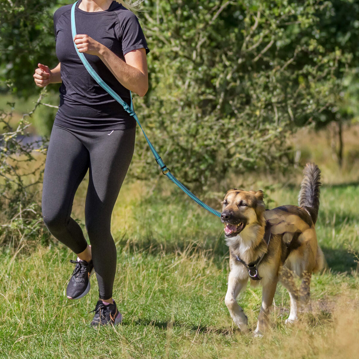 Person joggt mit einem beige-braunen Hund an blauer Leine über eine Wiese.
