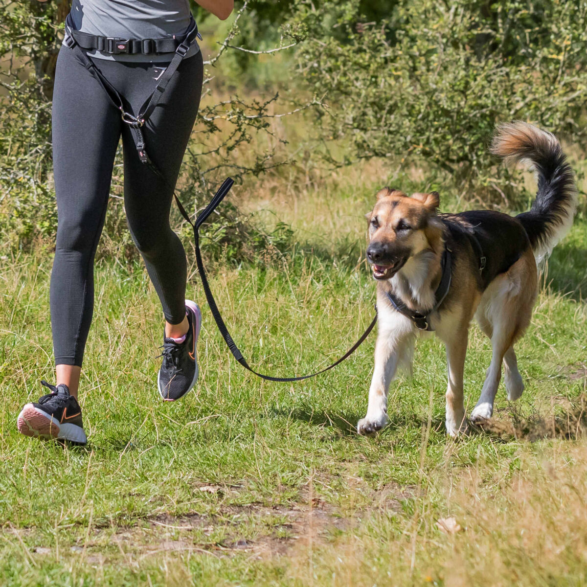 Person joggt mit Hund an grüner Wiese, Hund an schwarzer Leine und Mensch mit schwarzer Jogginghose.