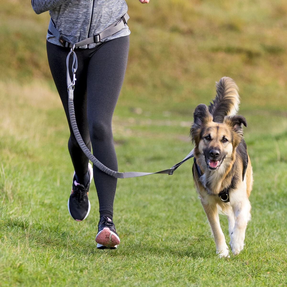 Eine Person joggt auf einer grünen Wiese mit einem Hund an der Leine, beide in Bewegung.
