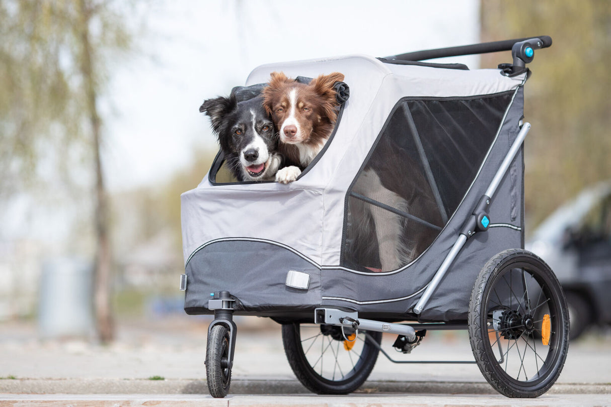 Zwei Hunde schauen aus einem grauen Fahrradanhänger mit großen Rädern und Netzfenstern.