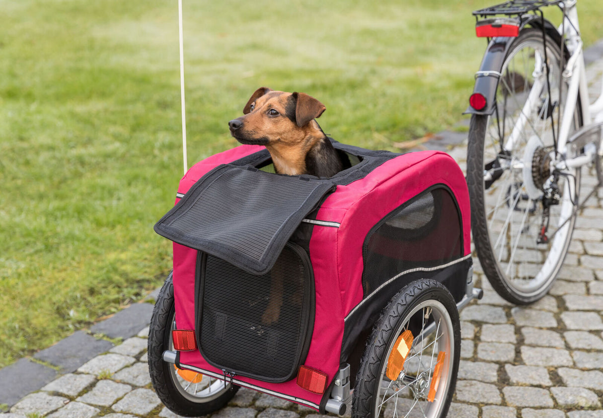 Ein kleiner Hund schaut aus einem roten Fahrradanhänger, der neben einem weißen Fahrrad auf einem gepflasterten Weg steht.