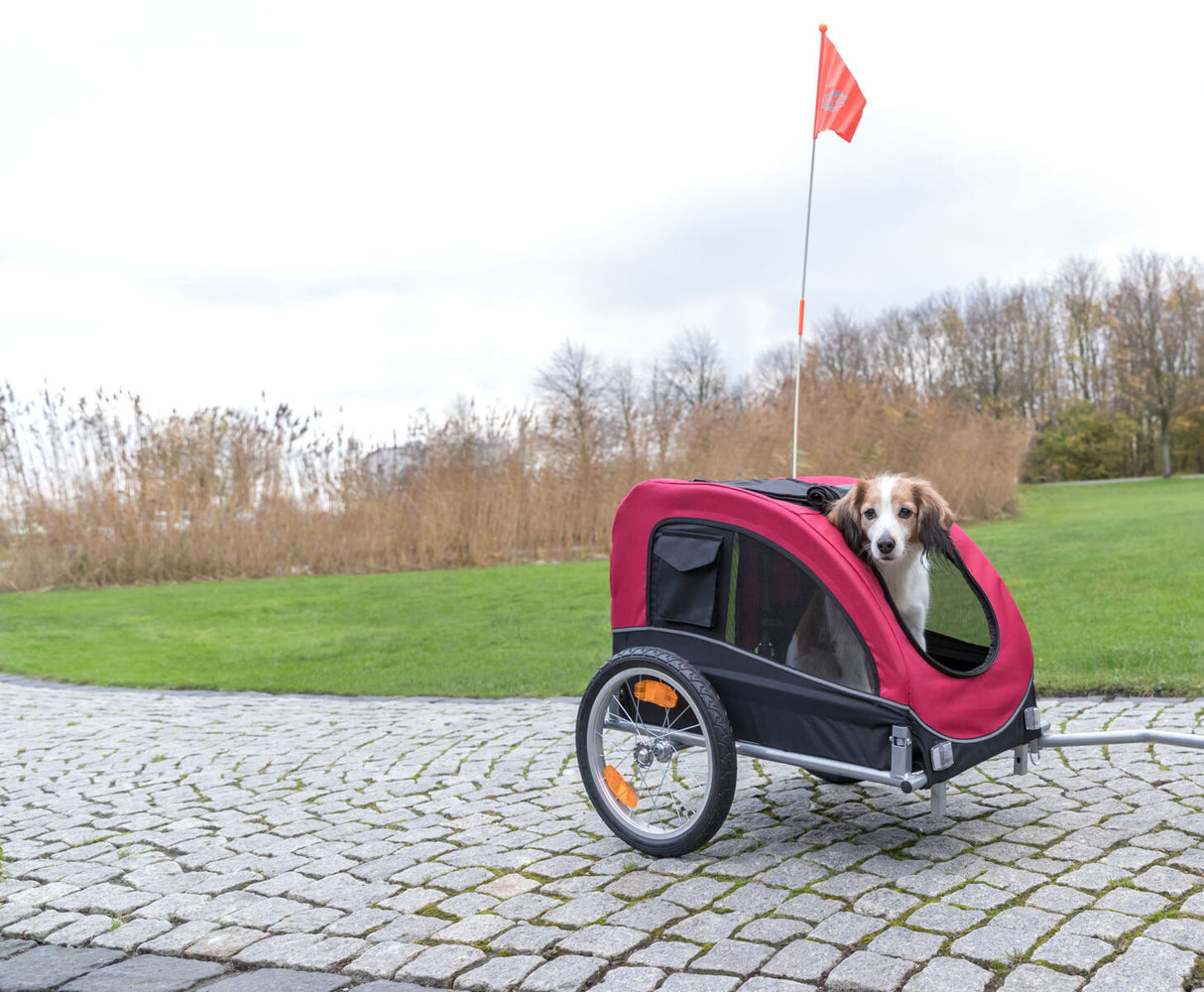Roter Fahrradanhänger mit Hund auf gepflastertem Weg, grüne Wiese und Schilf im Hintergrund, orangefarbene Flagge.