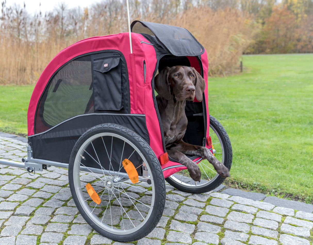 Ein rot-schwarzer Fahrradanhänger mit transparenten Seiten und einem sitzenden braunen Hund darin, parkend auf einem Pflasterweg.