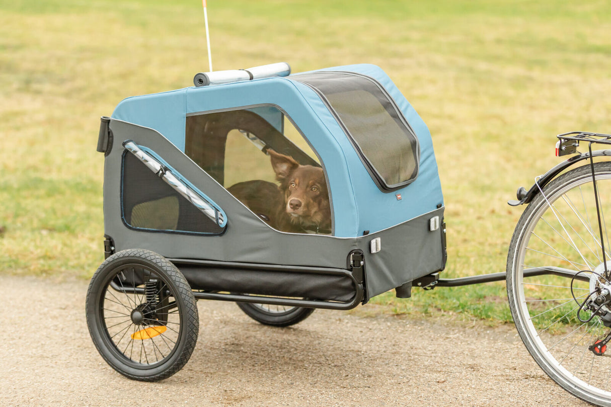 Hund sitzt in blauem Fahrradanhänger neben angekoppeltem Fahrrad auf einem Weg.