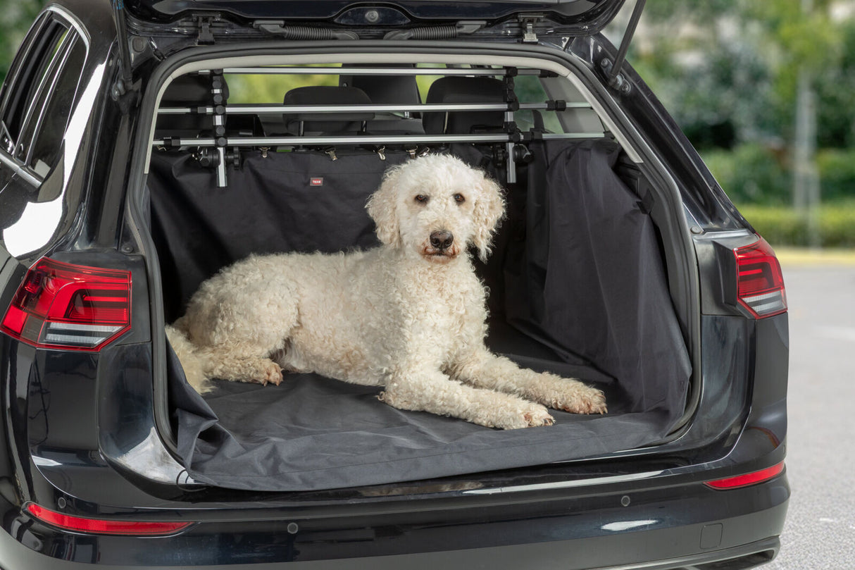 Ein großer, weißer Hund liegt im offenen Kofferraum eines Autos auf einer schwarzen Decke.