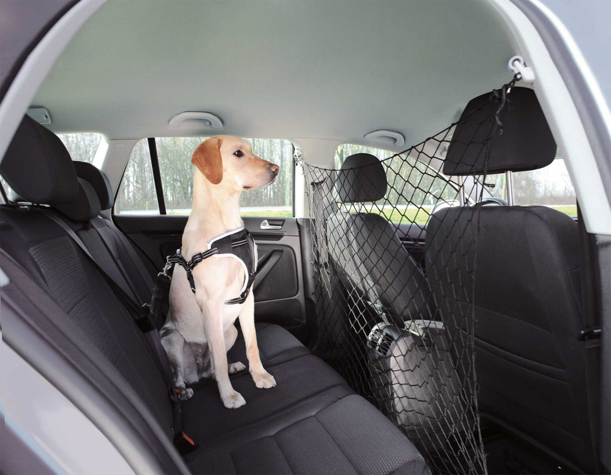 Hund mit schwarzem Geschirr sitzt im Auto auf der Rückbank, hinter einem schwarzen Sicherheitsnetz.
