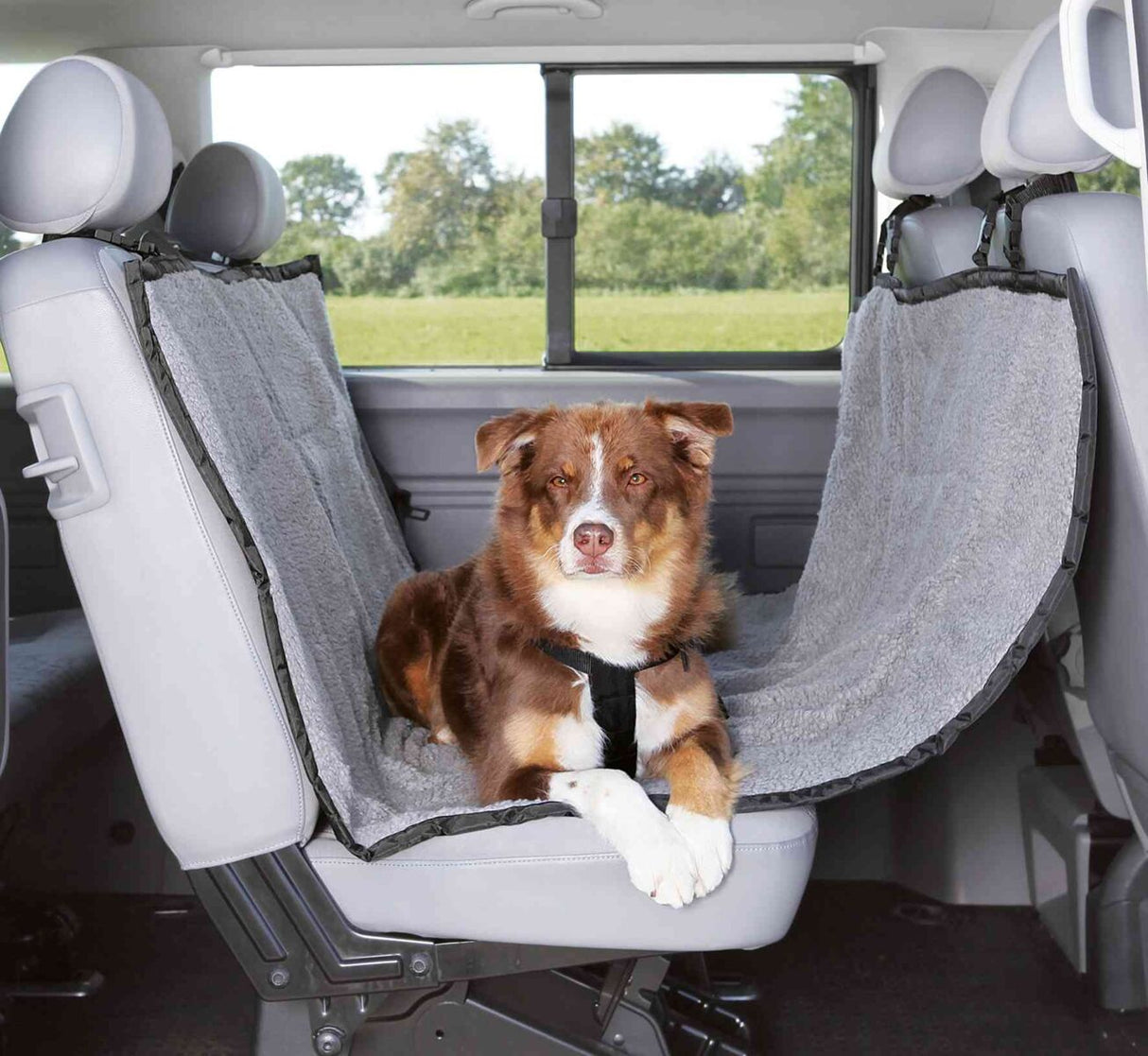 Hund in einem Auto auf einem grauen, gepolsterten Sitzbezug mit erhöhter Abdeckung zwischen den Rücksitzen.