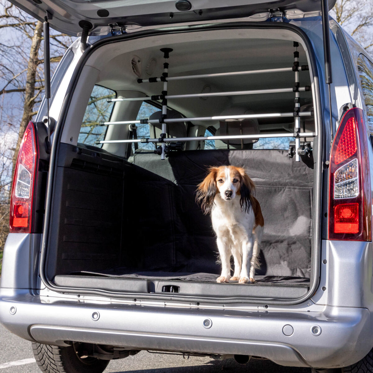 Auto mit geöffnetem Kofferraum, darin steht ein kleiner Hund vor einem Gitter, draußen scheint die Sonne.