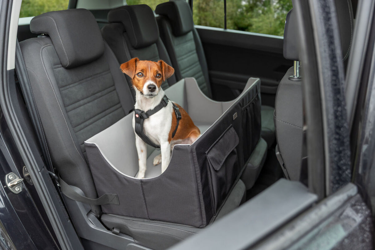 Hund sitzt in einem Autositz für Hunde auf der Rückbank eines Autos.