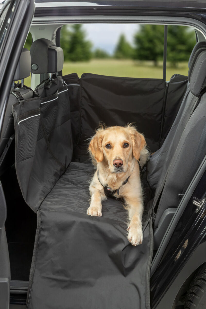Hund liegt auf schwarzer Autoschondecke auf der Rückbank eines Autos.