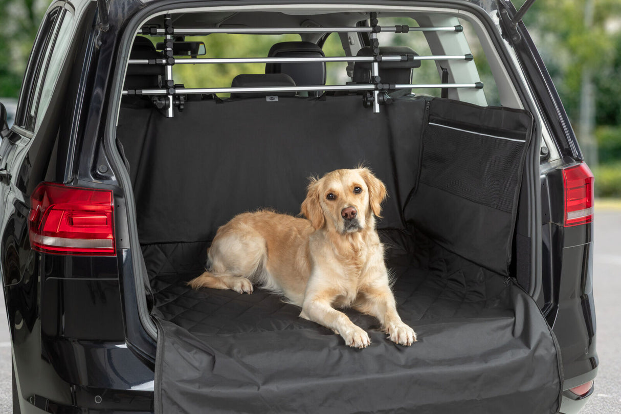 Hund liegt auf schwarzer Schutzmatte im Kofferraum eines Autos.