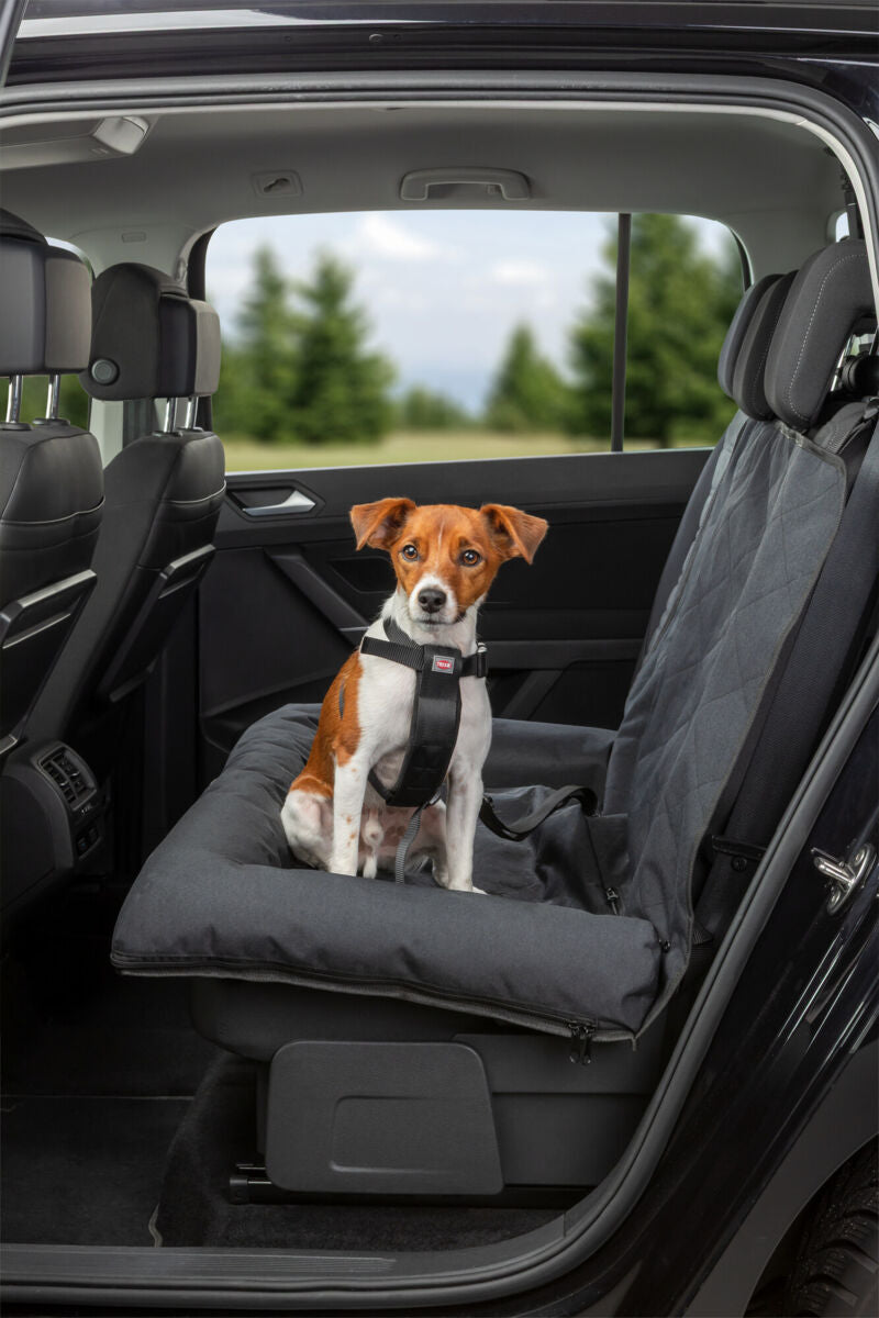 Hund sitzt mit Geschirr auf einem gepolsterten Autositz im Inneren eines Fahrzeugs.