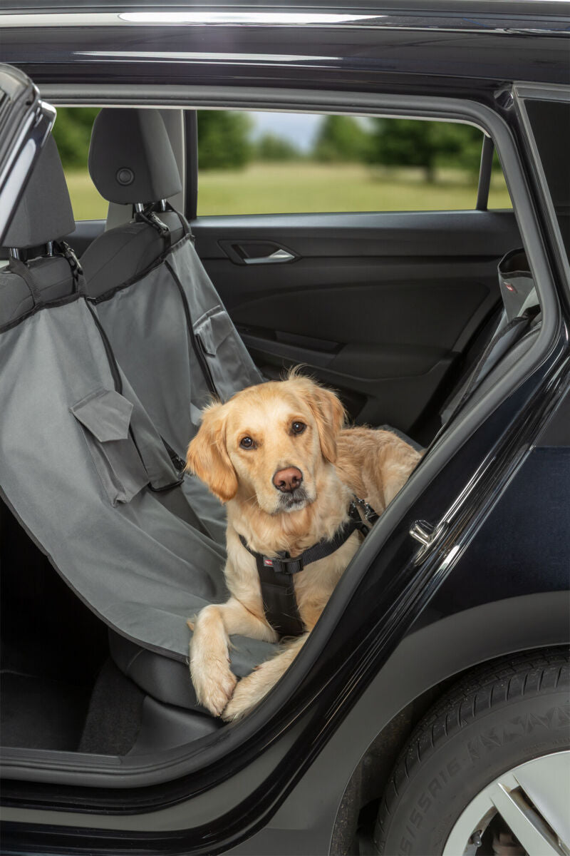 Ein Hund liegt auf einer Autositzabdeckung im Fond eines Wagens.