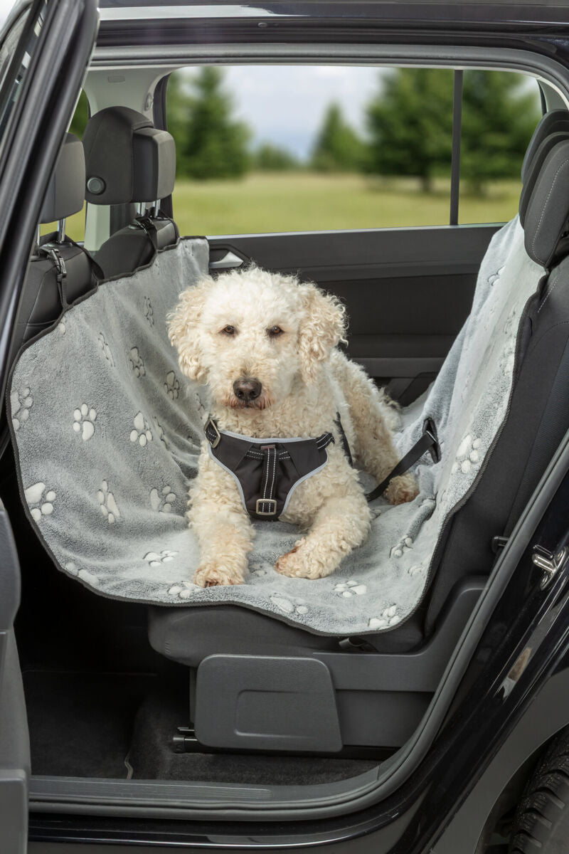 Ein Hund mit weißem Fell sitzt auf einer grauen Hundedecke im Auto auf der Rückbank.