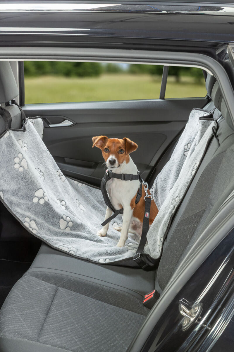 Hund sitzt auf grauer, pfotenbedruckter Autoschondecke auf dem Rücksitz eines Fahrzeugs.