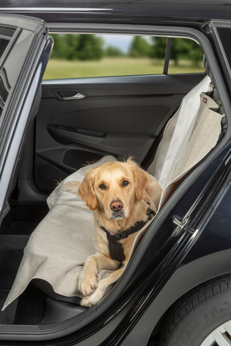 Ein Hund sitzt auf einer hellgrauen Decke auf dem Rücksitz eines Autos.