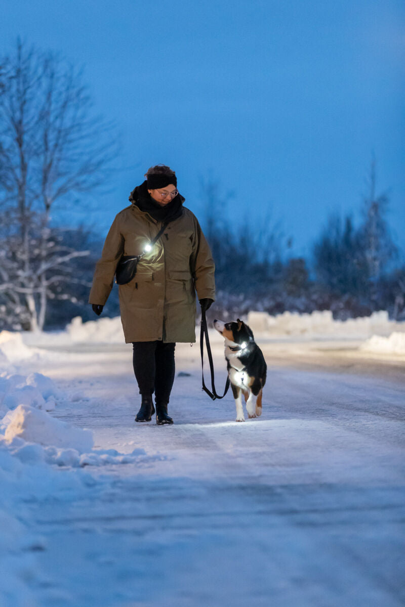 Eine Person geht bei Schnee im Dunkeln mit einem Hund an der Leine spazieren, beide tragen helle Leuchtmittel.