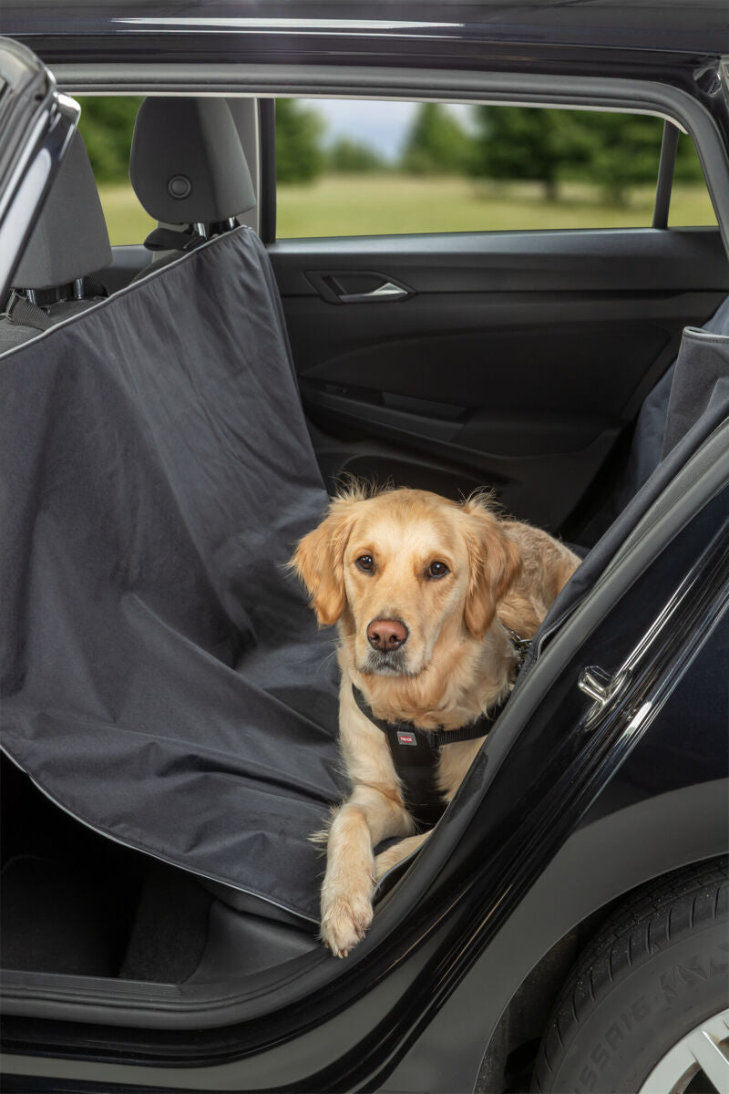 Ein Hund sitzt auf einer schwarzen Autoschondecke im hinteren Sitzbereich eines Fahrzeugs.