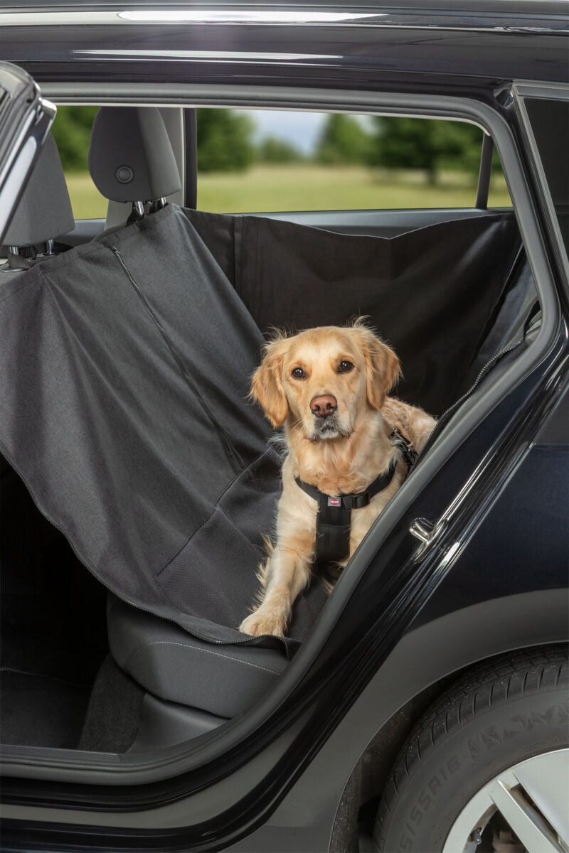 Ein Hund sitzt auf einer schwarzen Autoschondecke im geöffneten Auto.