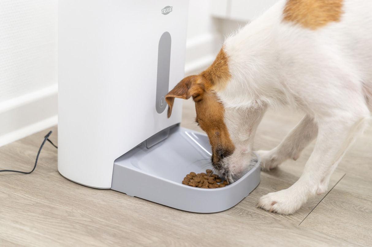 Ein Hund frisst Trockenfutter aus einem grauen Napf eines weißen Futterautomaten auf einem Holzboden.