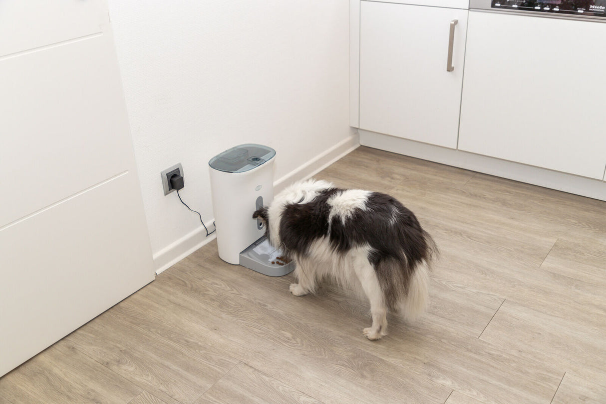 Ein Hund frisst aus einem weißen, elektrischen Futterspender, der an die Steckdose angeschlossen ist.