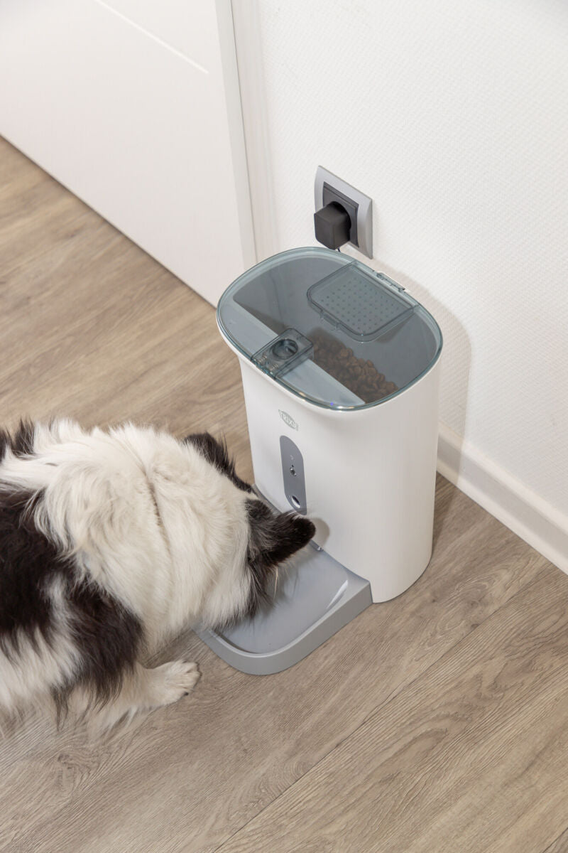 Hund frisst aus einem weißen, automatischen Futternapf mit transparentem Deckel, der an der Wand steht.