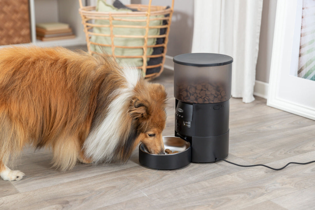 Hund frisst aus einer Schale eines schwarzen automatischen Futterspenders, der auf einem Holzboden steht.