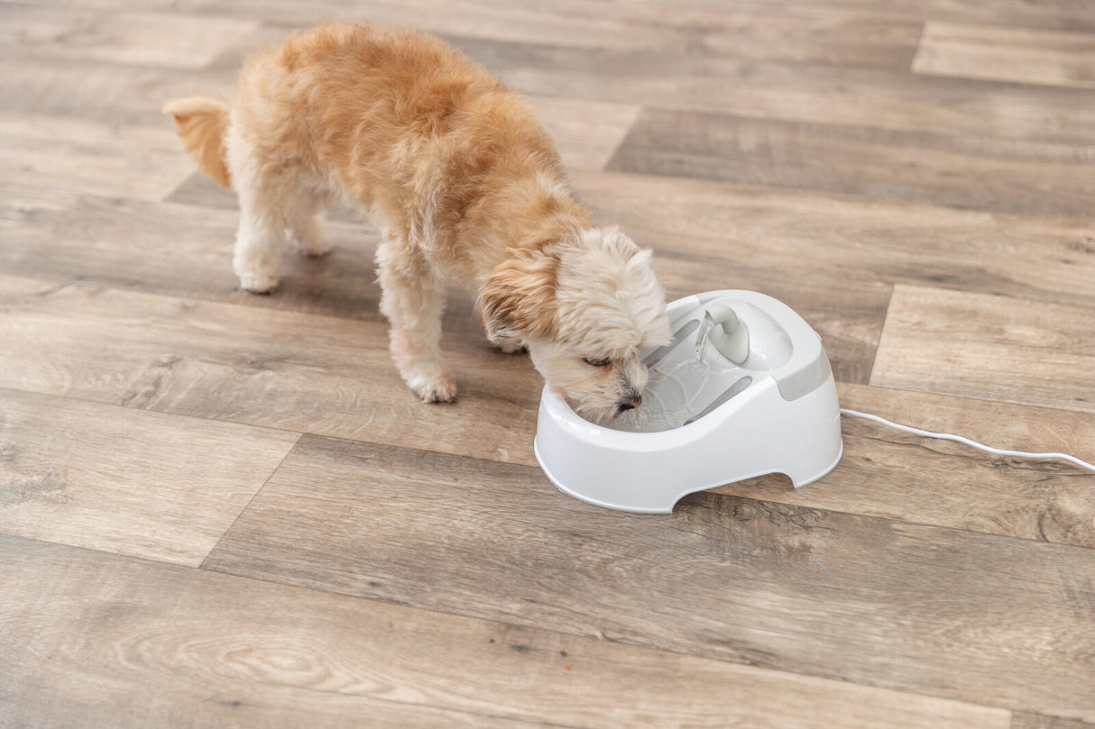 Trinkbrunnen Duo Stream