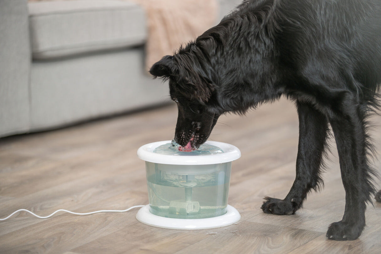 Schwarzer Hund trinkt aus einem weißen Trinkbrunnen auf Holzboden in einem Wohnzimmer.