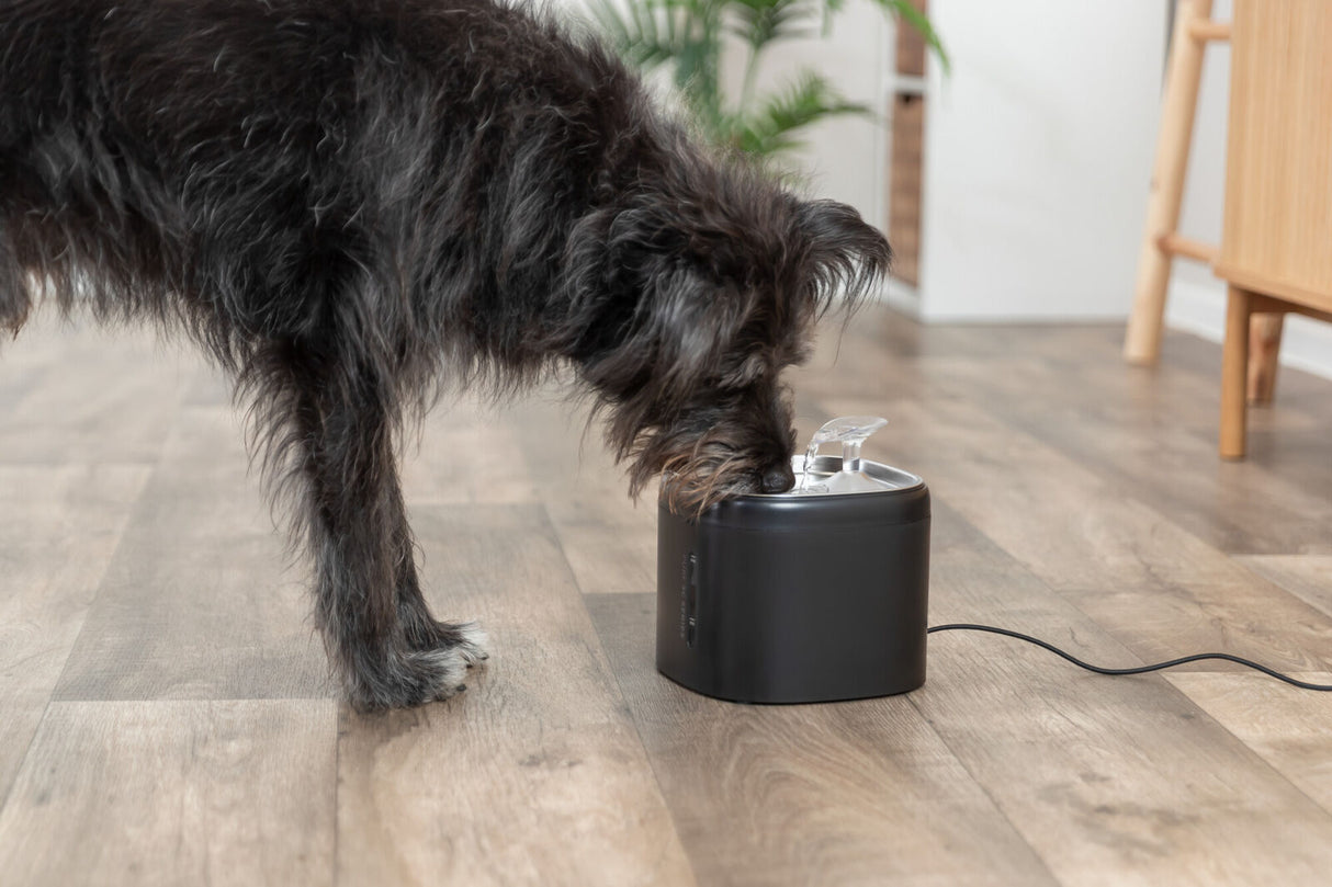 Schwarzer Hund trinkt aus einem schwarzen Wasserspender auf Holzboden.