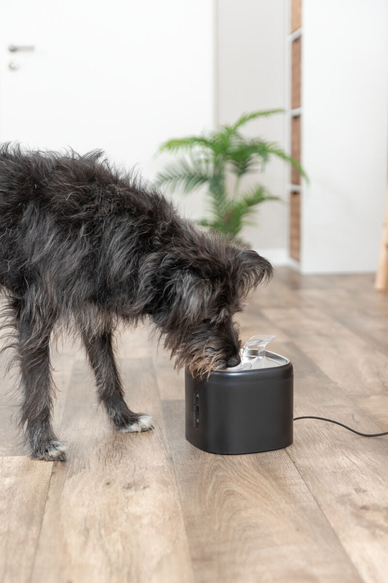Ein Hund trinkt aus einem schwarzen Wasserspender auf Holzboden.