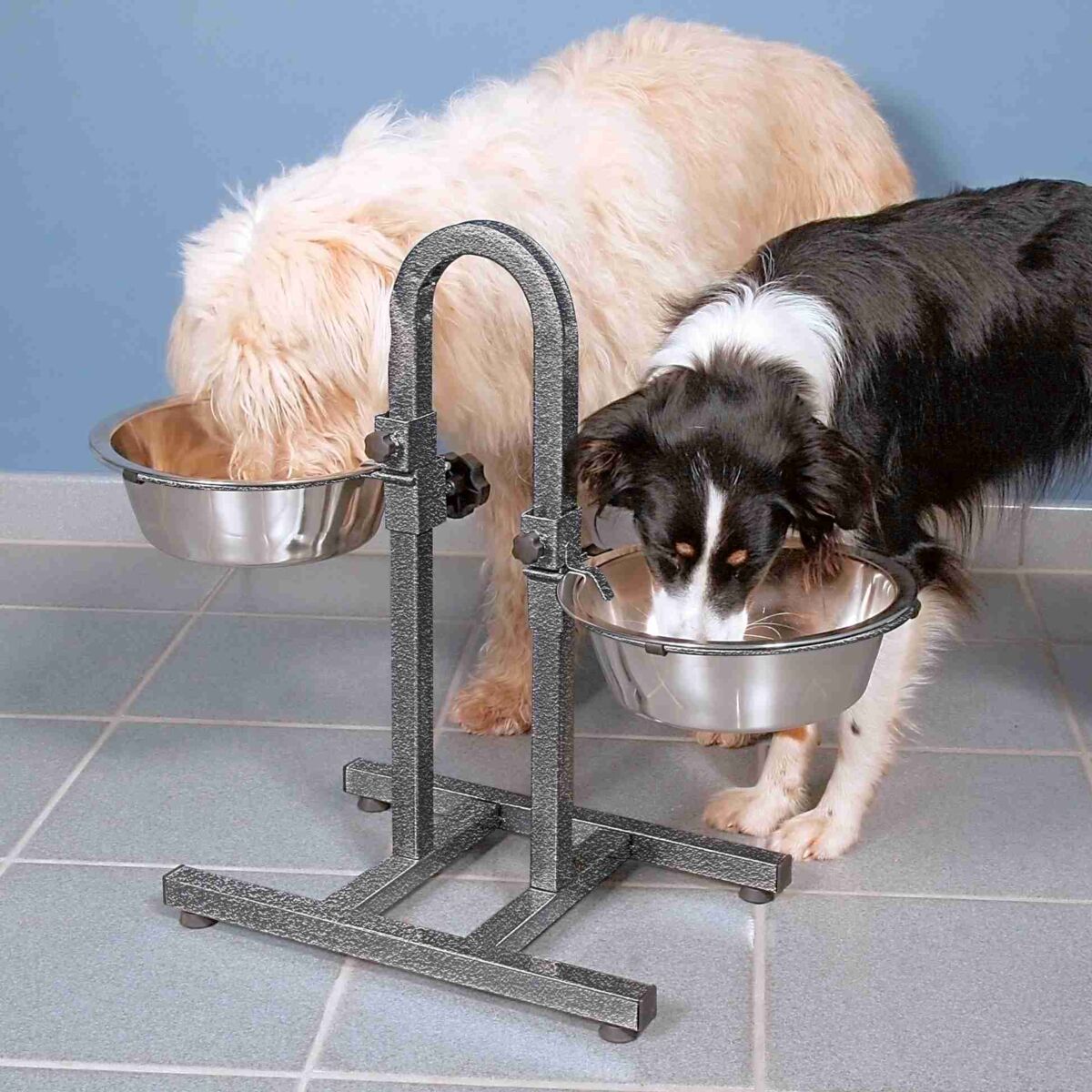 Zwei Hunde fressen aus höhenverstellbaren Futternäpfen aus Edelstahl auf einem robusten Ständer, der auf Fliesen steht.