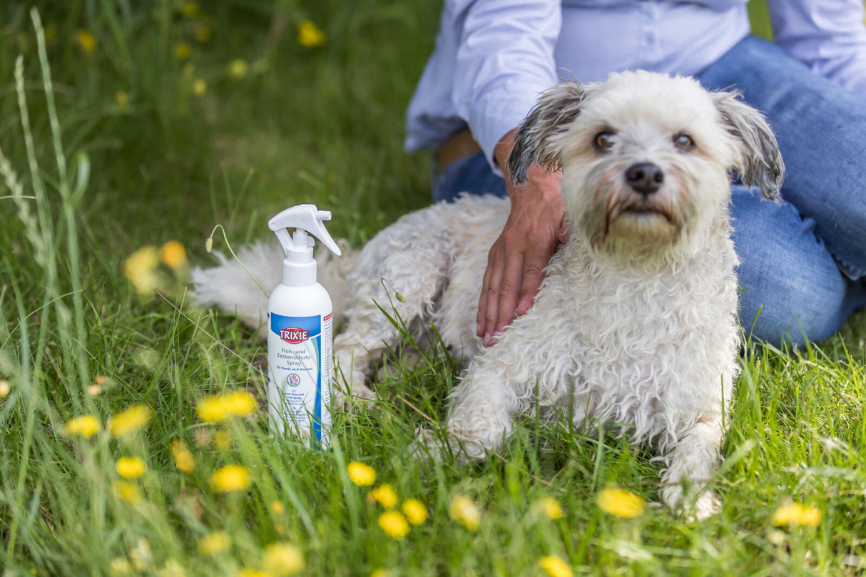 Eine Person streichelt einen weißen Hund im Gras neben einer Sprühflasche mit Floh- und Zeckenmittel.