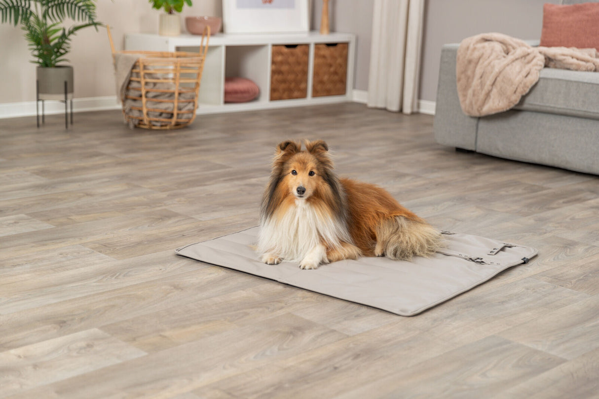 Hund mit langem Fell liegt auf einer grauen Matte auf einem Holzfußboden in einem Wohnzimmer.