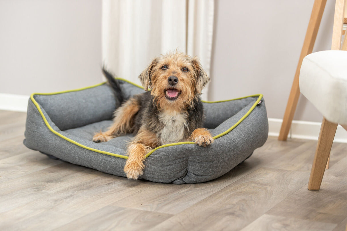 PHO_PRO_DOG_28430-28431-28432-2