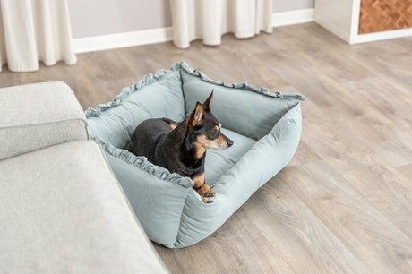 Ein kleiner Hund liegt in einem hellblauen Hundebett auf einem Holzboden neben einem grauen Sofa.