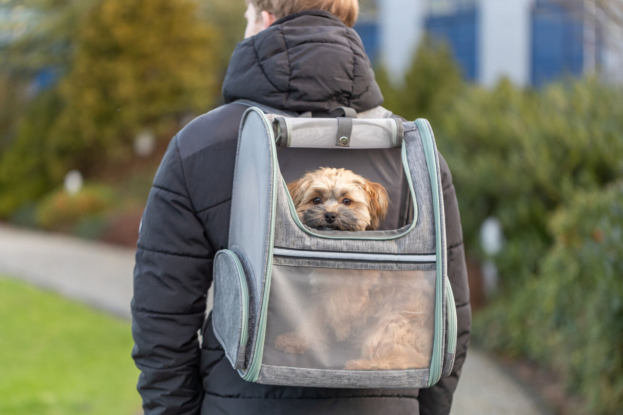 Eine Person trägt einen grauen Rucksack mit einem durchsichtigem Gitter, in dem ein kleiner Hund sitzt.