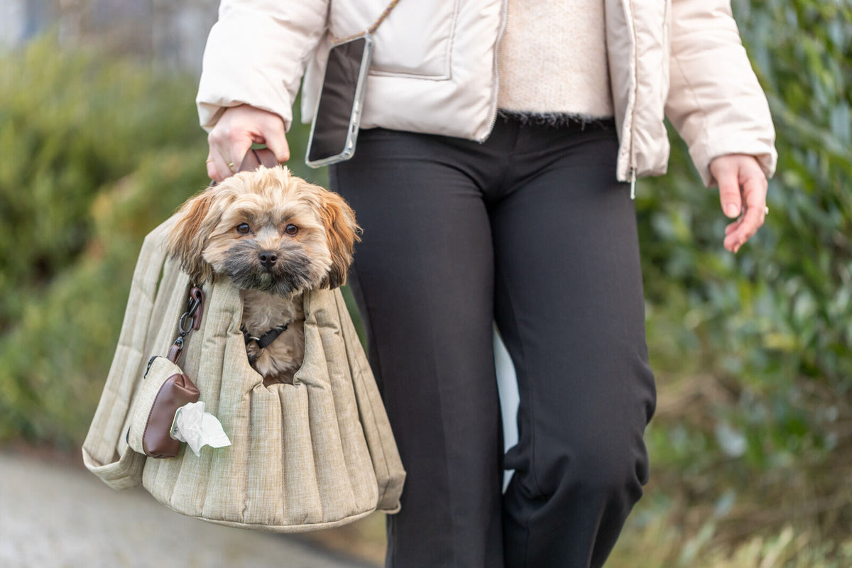 Eine Person trägt einen kleinen, flauschigen Hund in einer beigefarbenen Tragetasche, während sie ein Smartphone in der Hand hält.