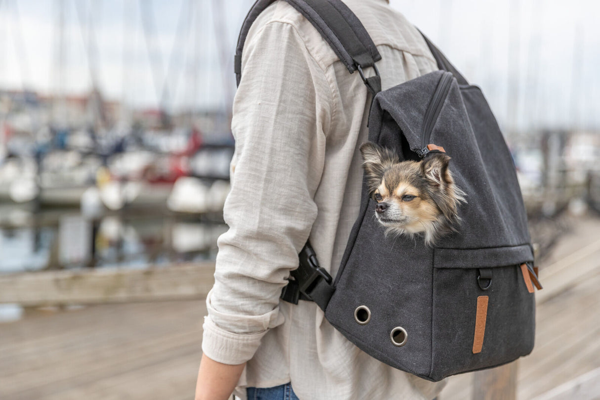 Person trägt grauen Rucksack mit kleinem Hund, Yachthafen im Hintergrund.