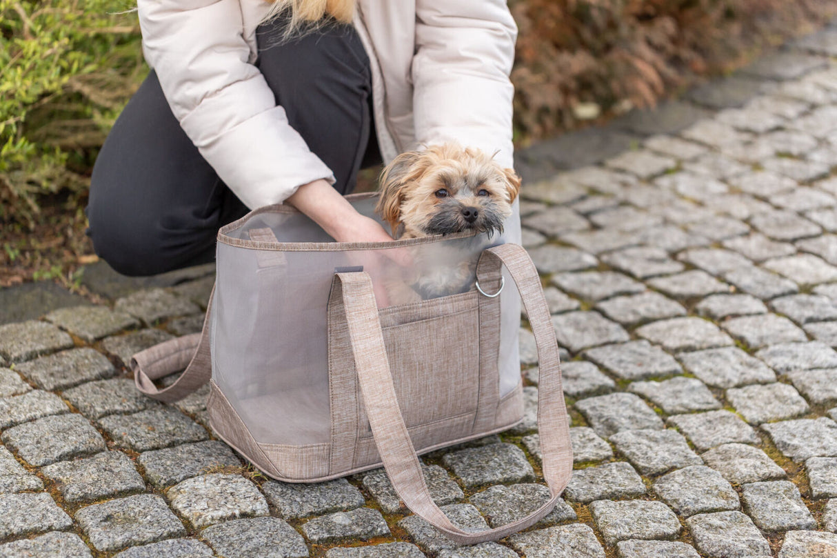 Person kniet und hält eine beigefarbene Tragetasche mit durchsichtigem Einsatz, darin ein kleiner Hund, auf einem gepflasterten Weg.