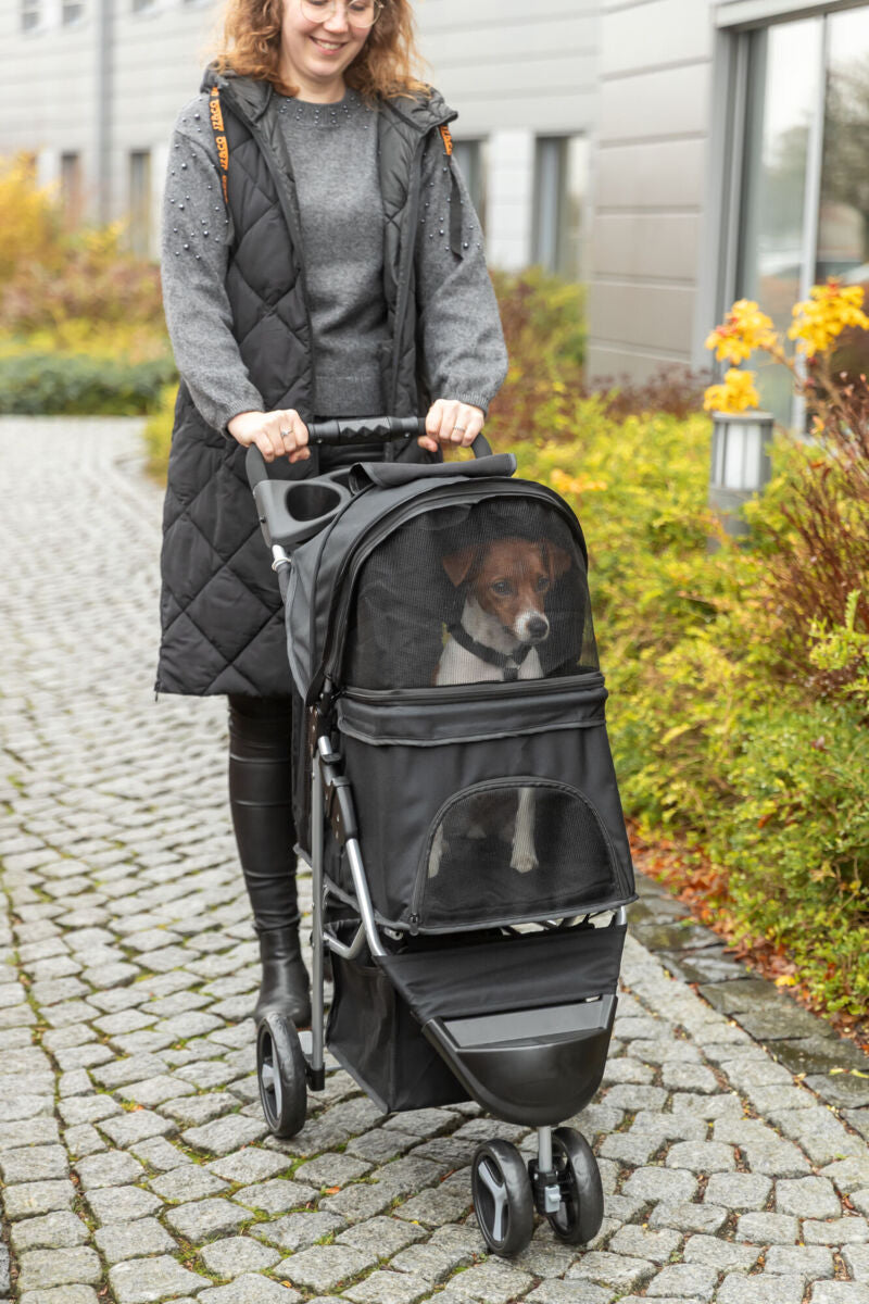 Buggy für Hunde
